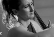 Schindlers list music from movie beat version by R2ViolinCello